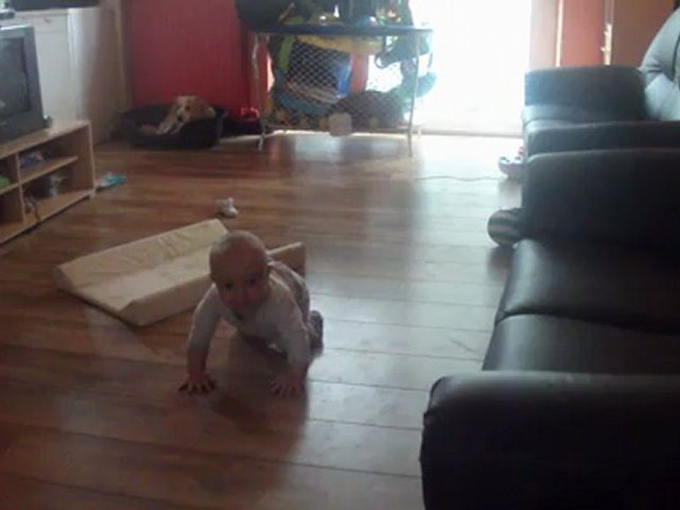 Léoh et son 4 patte