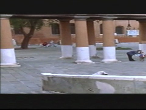 PAIN TULIPES ET COMEDIE - Bande-annonce VF