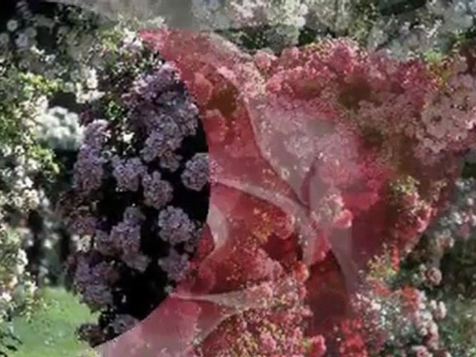 Melihat GÜLSES  "BAHARIN GÜLLERİ AÇTI"