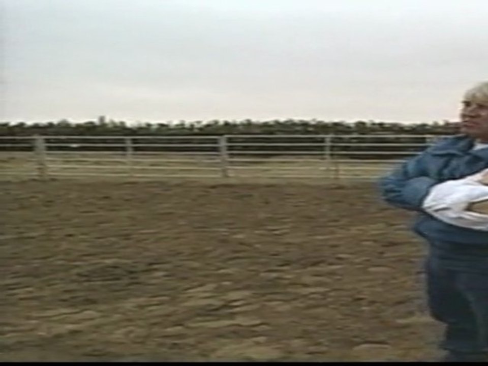 CRINIERE AU VENT - Bonus VO