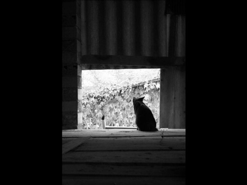 dark tears
