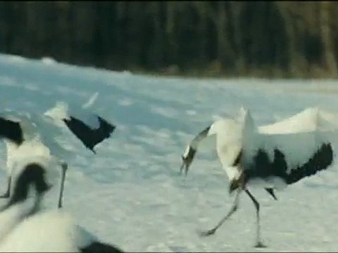 LE PEUPLE MIGRATEUR - Bonus VF