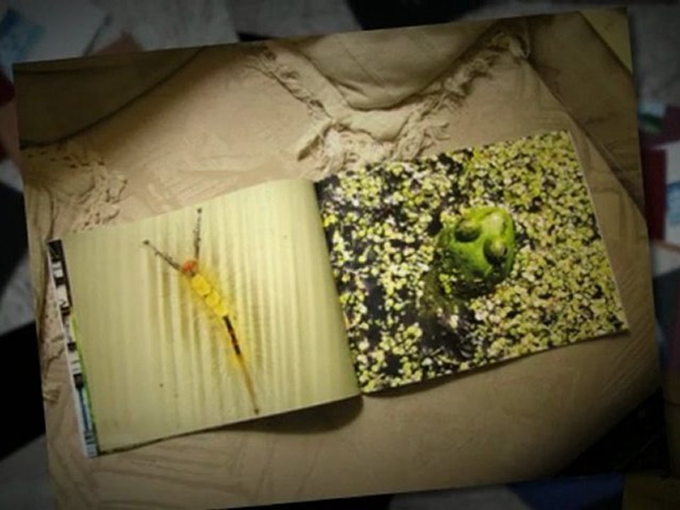 build a photo book