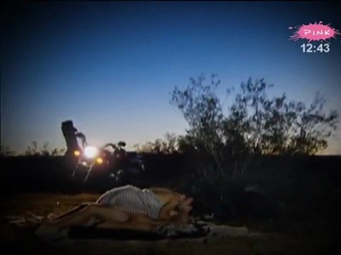 Moje srce kuca za Lolu - Promo (TV Pink)