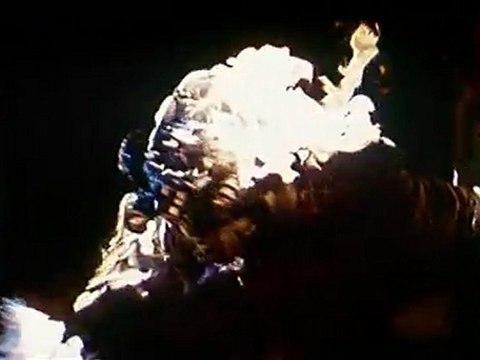 NID DE GUEPES - Bande-annonce VF