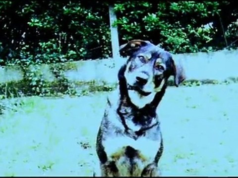 MA CAMERA ET MOI - Teaser3 VF