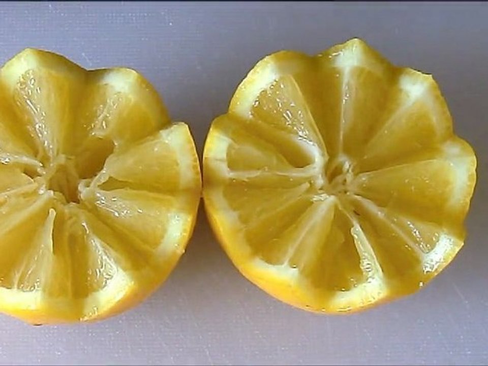 Historier un citron en dents de loup