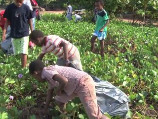 Veilleurs du Lagon (Caring for the Lagoon) - bande-annonce (HD)