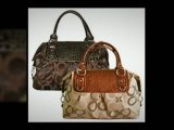 Stylish Handbags & Purses