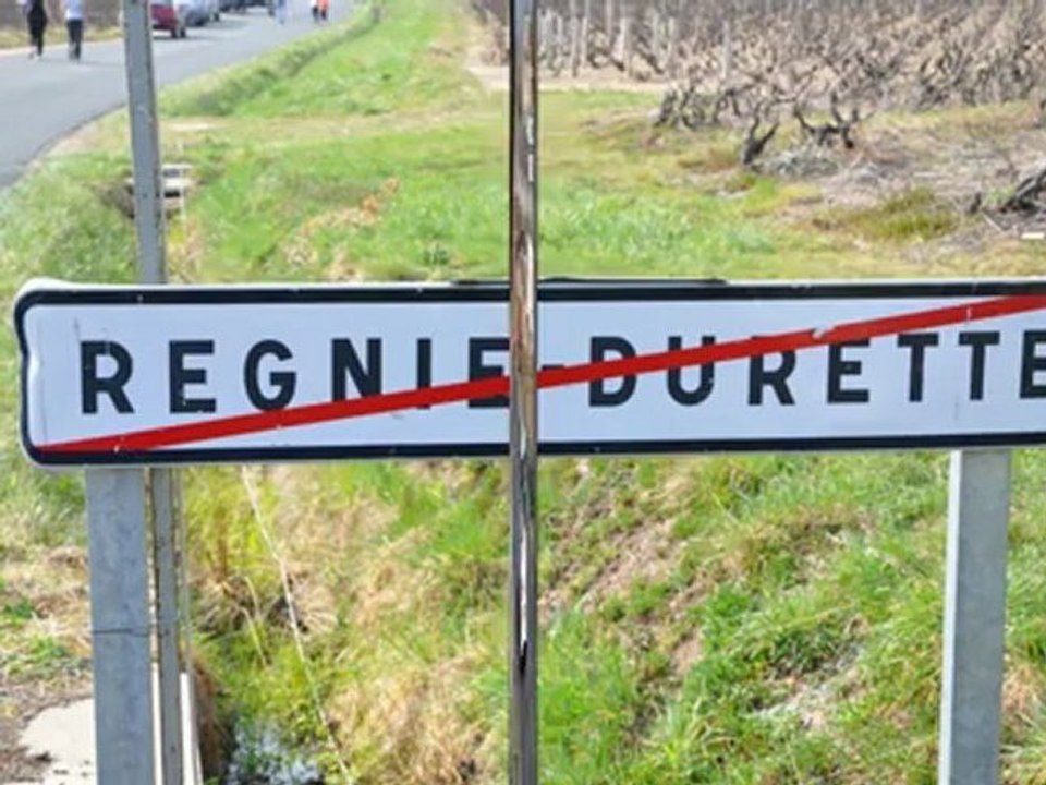 VIGNES DE REGNIE 2012