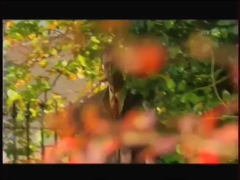 Voyage au centre du cerveau - Une affaire de sexes - Arte Thema