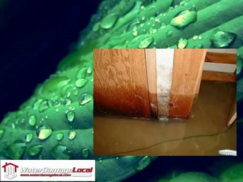 Water Damage Company Marietta