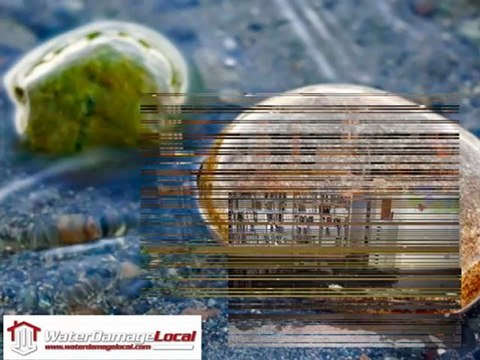 Water Damage Company Smyrna