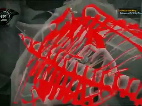 Classic Game Room - BATMAN ARKHAM ASYLUM for OnLive review