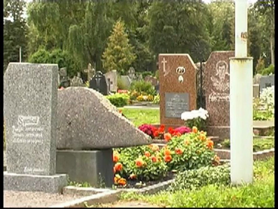 PanTV zinios 2012 04 04