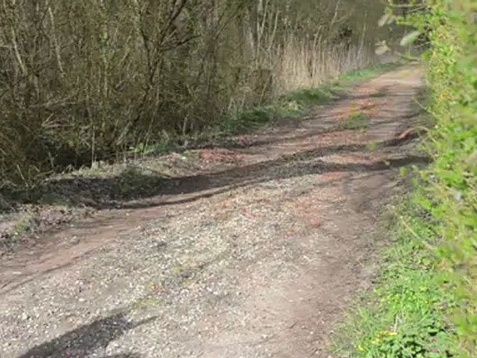 course d'endurance 2012