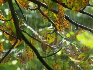 „Making of“ Clip zum Kurzfilm „Was ist Liebe?“