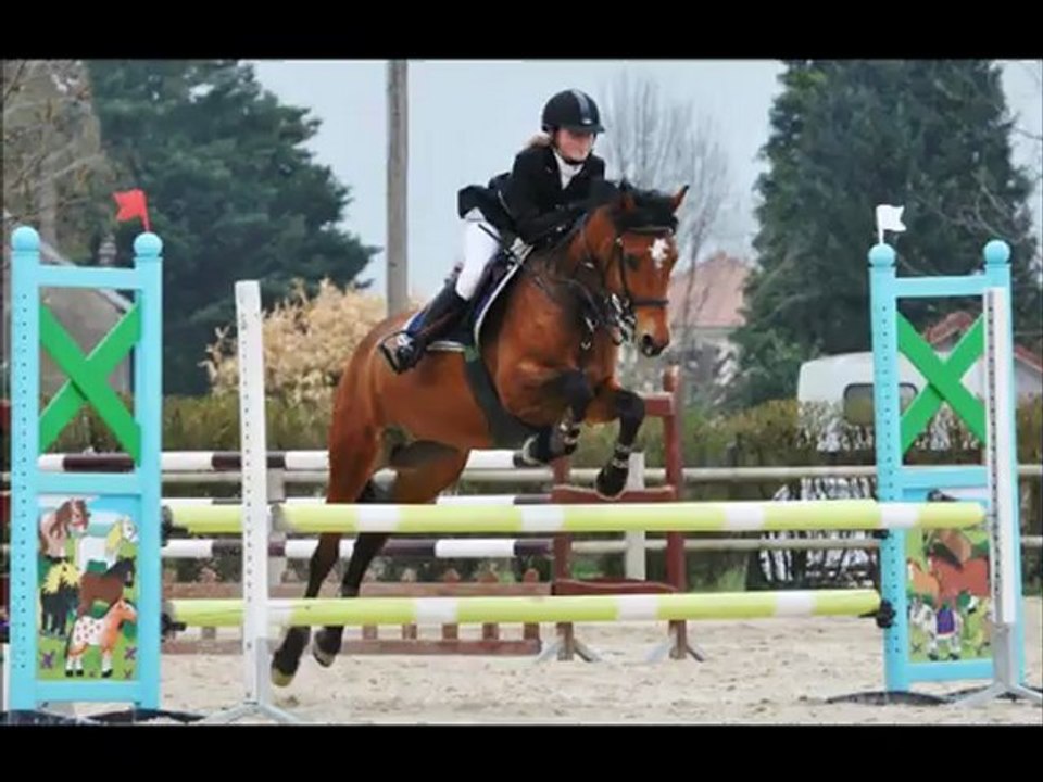 CSO à Pont de Beauvoisin avec ma Patxa ♥.
