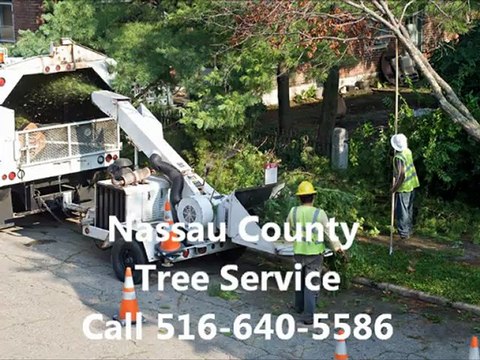Nassau Tree Service & Tree Removal-Call 516-640-5586