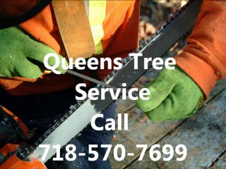 Queens Tree Service & Tree Removal-Call 718-570-7699