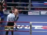 Denis Lebedev vs Shawn Cox / Денис Лебедев vs. Шон Кокс