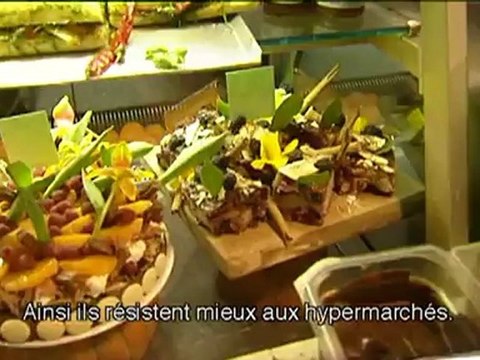 En Transition 1.0; en anglais avec sous-titres en français