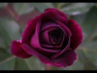 BEKLERİM BU SAHİLLERDE