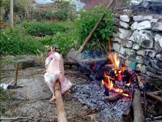 TEPELENA    BEGA    TEPELENA