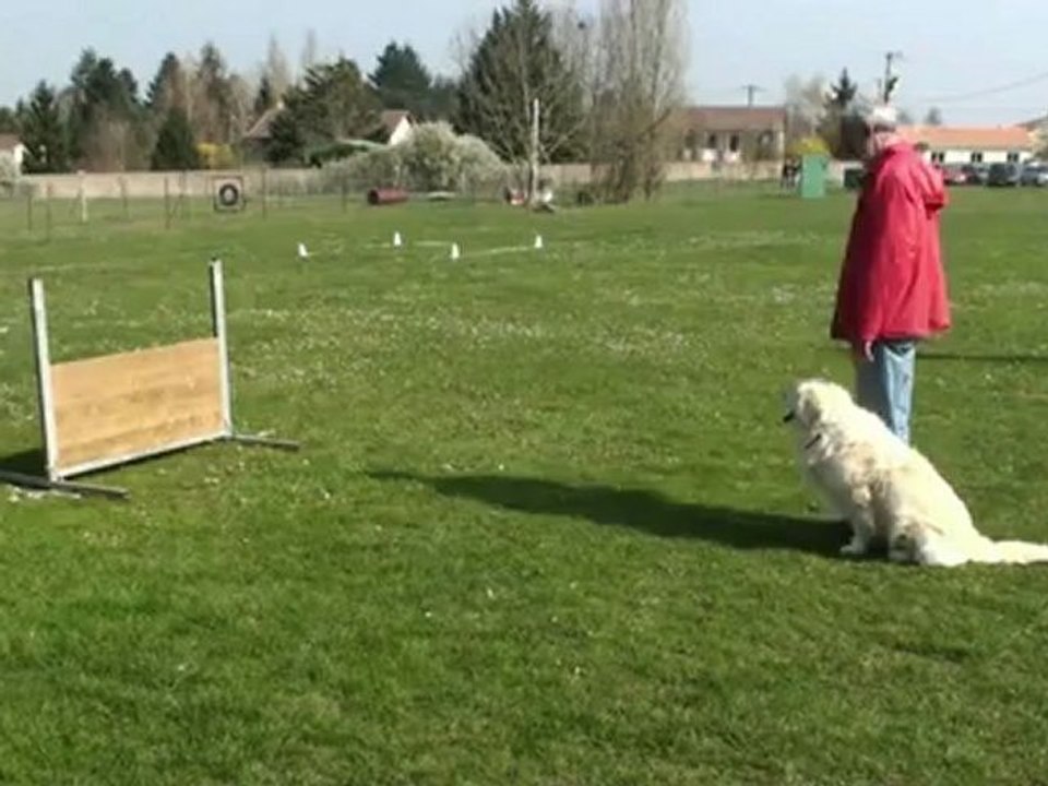 ACP, concour d'obéissance, Doudou en classe 1
