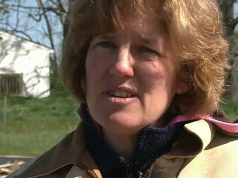 White nose syndrome threatens North American bats