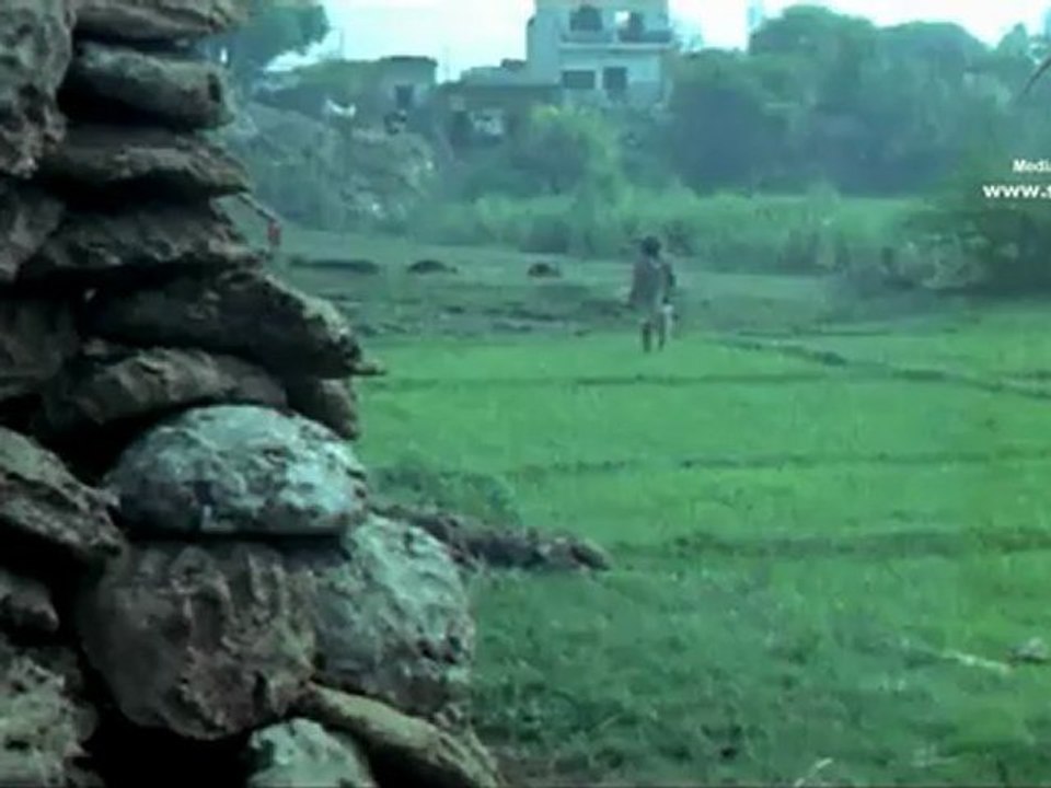 Vidhata