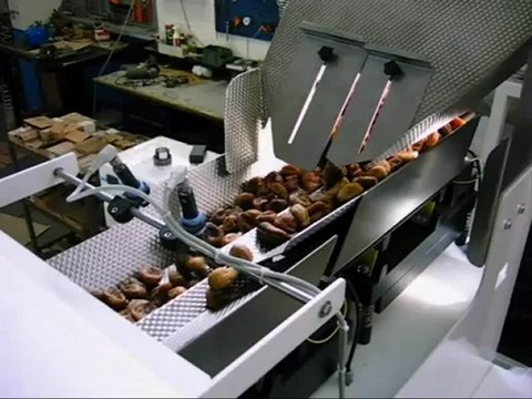 TECHNO D - Pesatrice per frutta disidratata