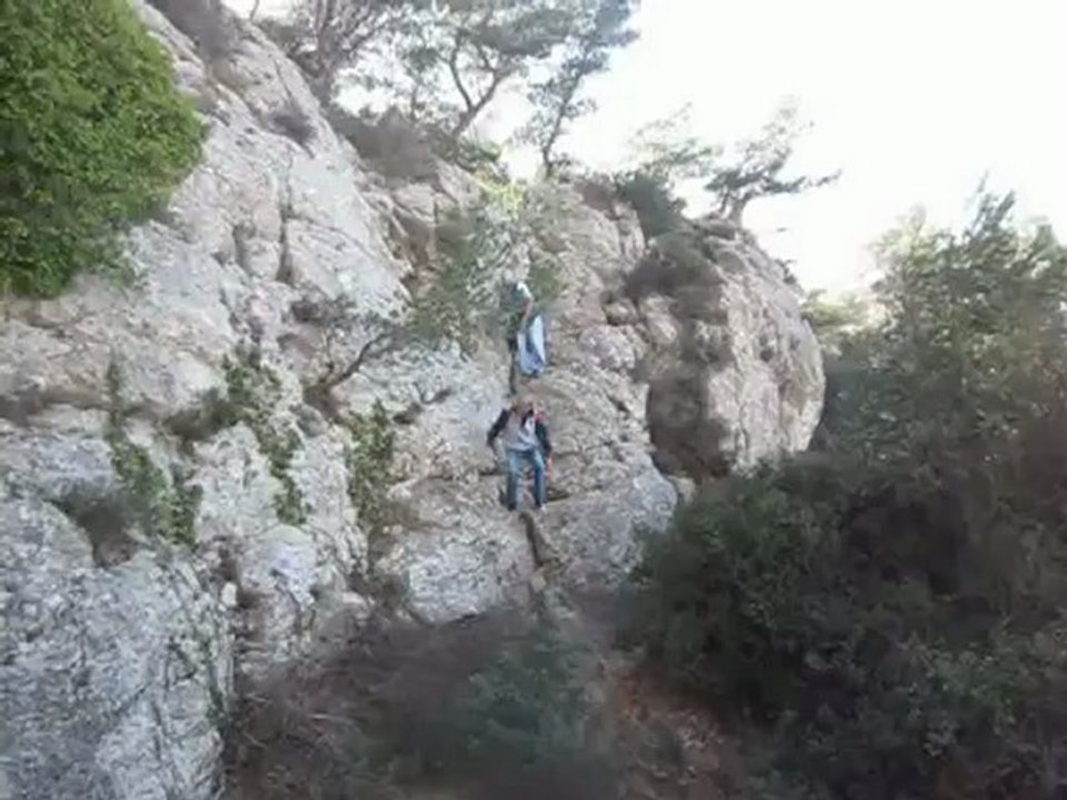 Marseilleveyre3