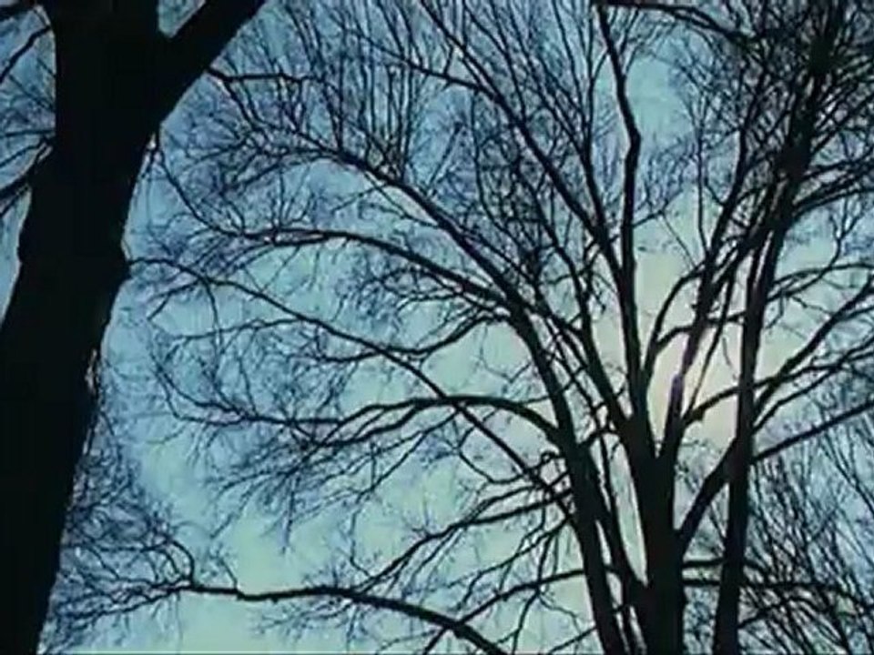 21 GRAMMES - Bande-annonce VO