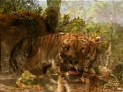 DEUX FRERES - Bande-annonce VO