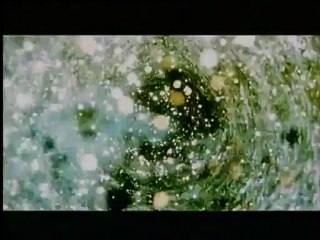 MONTY PYTHON'S : LA VIE DE BRIAN - Bande-annonce VO