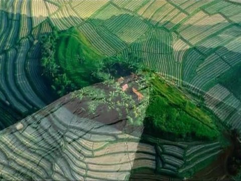 LA TERRE VUE DU CIEL - Bande-annonce VF