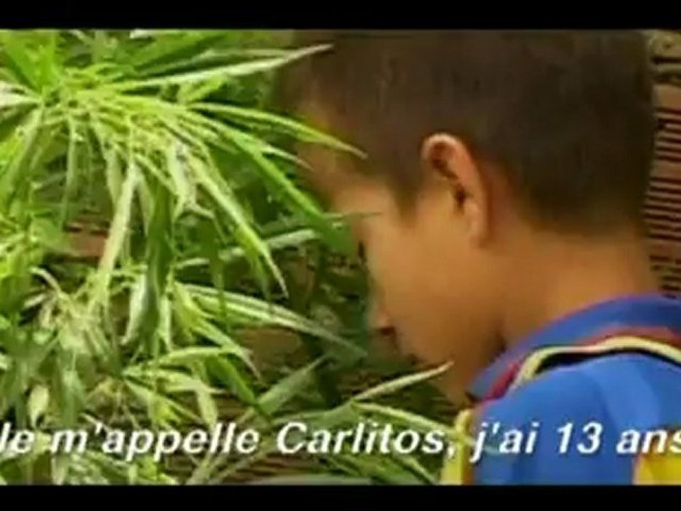 CARLITOS MEDELLIN - Bande-annonce VO