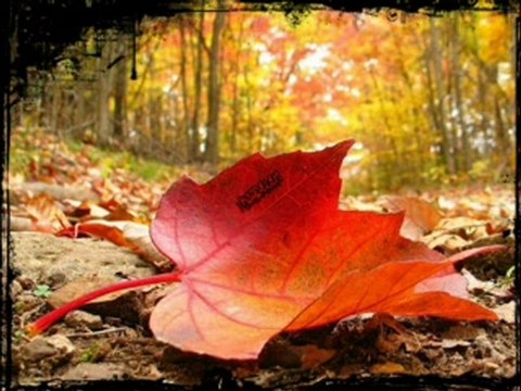 Ahmet TUNCER urfalı sevmis ŞİİR VERSİYONU