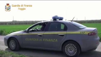 Foggia - Dichiarazione fraudolenta, evasione fiscale per 21mln (05.04.12)