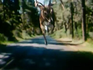 LE CERCLE - THE RING 2 - Bande-annonce VO