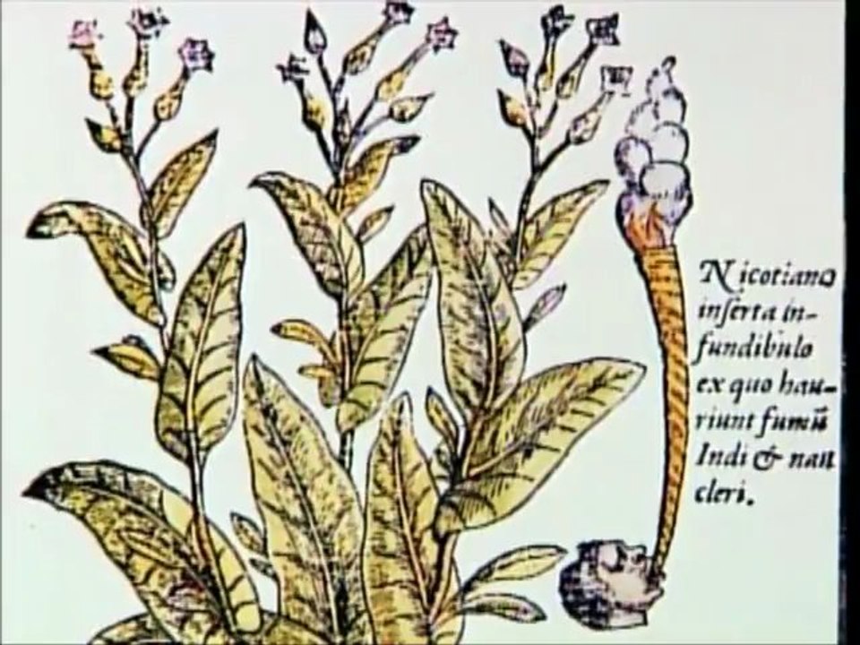 Ancient Drugs © History Channel