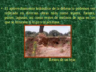 DEHESA MONTEHERMOSEÑA