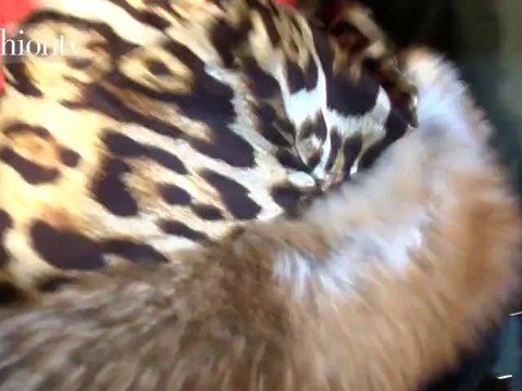 Just Cavalli Backstage Fall 2012 - Milan FW | FashionTV