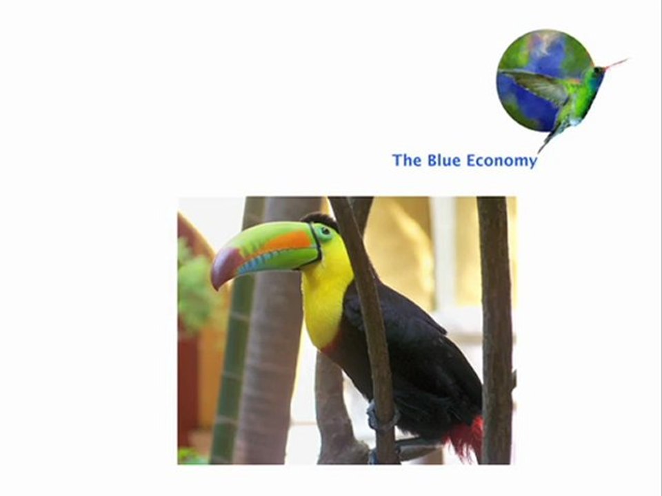 The Blue Economy - Innovation No.8: Color without Pigments