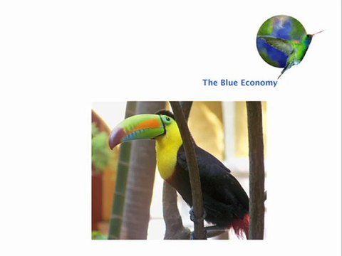 The Blue Economy - Innovation No.8: Color without Pigments