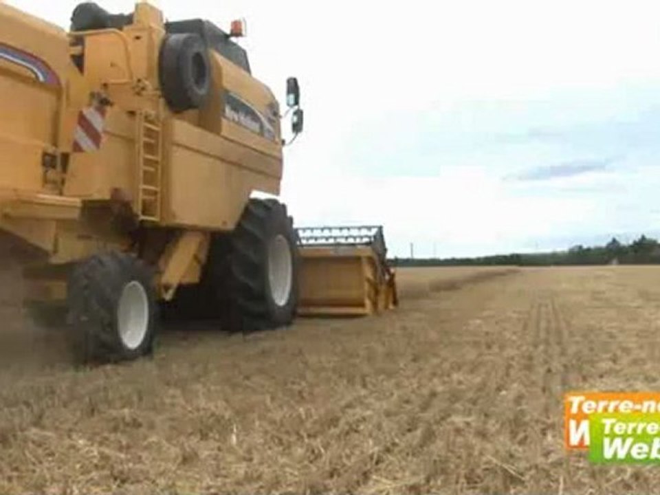 Laurent Guerreiro (Arvalis) « La génomique permettra de proposer des variétés de blé tendre moins sensibles aux aléas climatiques »