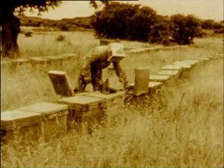 OLIVA OLIVA - Bande-annonce VF