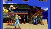 Classic Game Room - FATAL FURY for Sega Genesis review