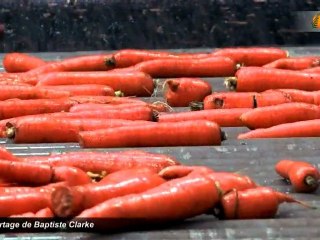 Restauration collective : le bio local freiné par le manque de capacité de transformation